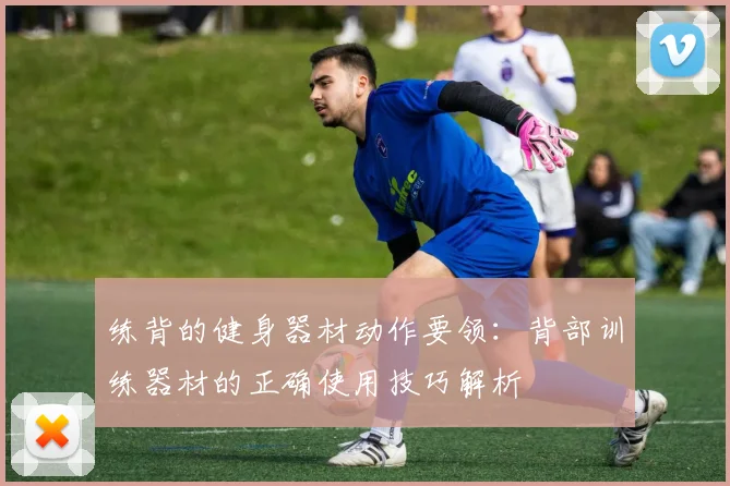 练背的健身器材动作要领：背部训练器材的正确使用技巧解析