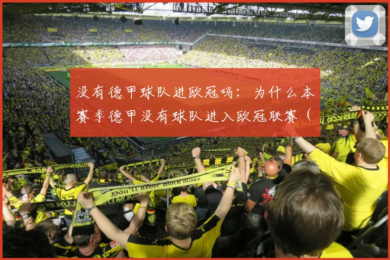 没有德甲球队进欧冠吗：为什么本赛季德甲没有球队进入欧冠联赛 (2)